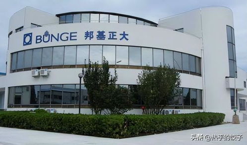 胖東來繞開國內(nèi)油企，以自主采購保障食用油食品安全