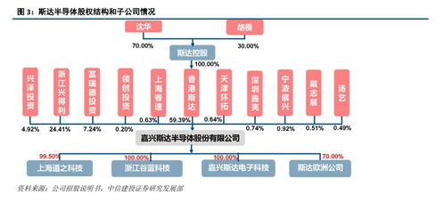 斯達(dá)半導(dǎo) IGBT模塊國內(nèi)領(lǐng)先廠商，有望受益于國產(chǎn)替代與行業(yè)增長